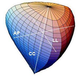 volume prostata calcolo