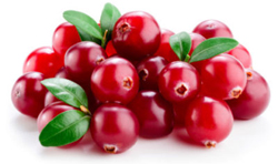 mirtillo rosso